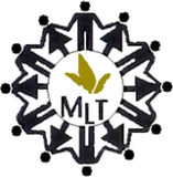 MLT